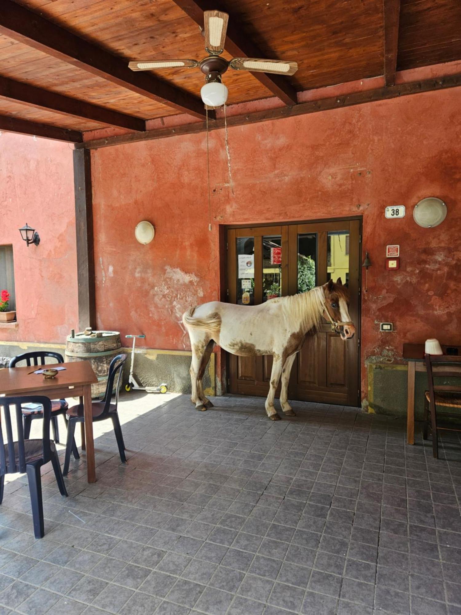 Agriturismo La.Ti.Mi.Da. Cassine Eksteriør bilde