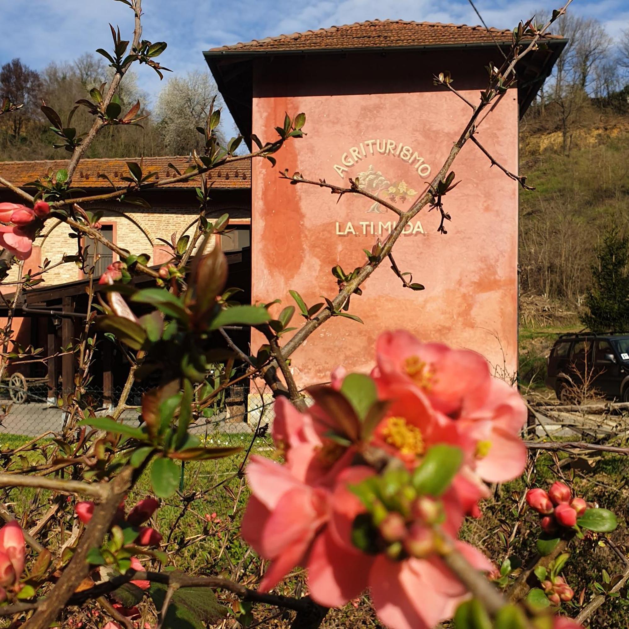 Agriturismo La.Ti.Mi.Da. Cassine Eksteriør bilde